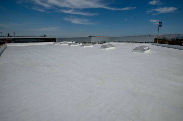 Best Cold Roofs  in Wayne, OH